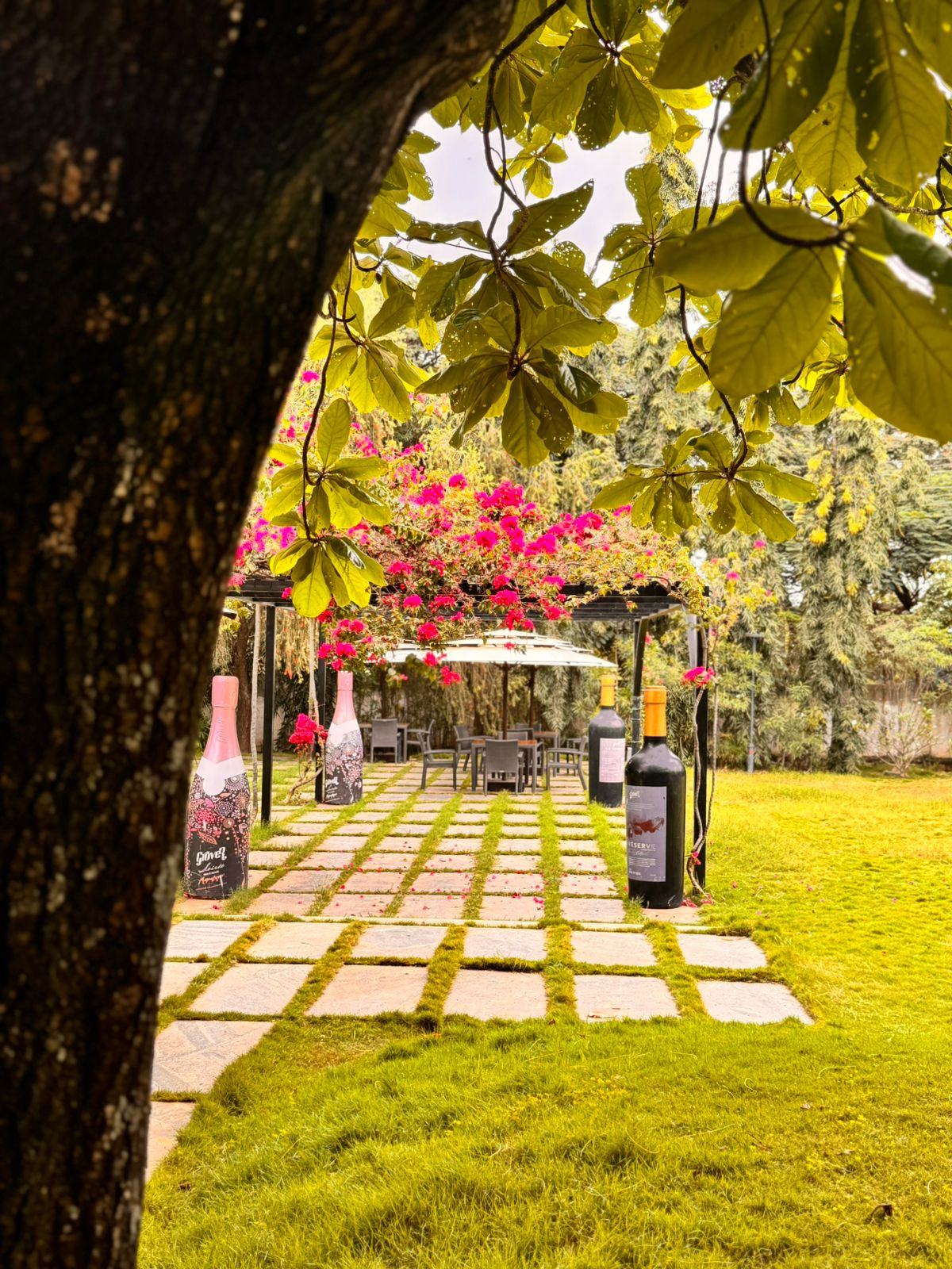 Vineyard Tour + Brunch | Grover Vineyards - 6